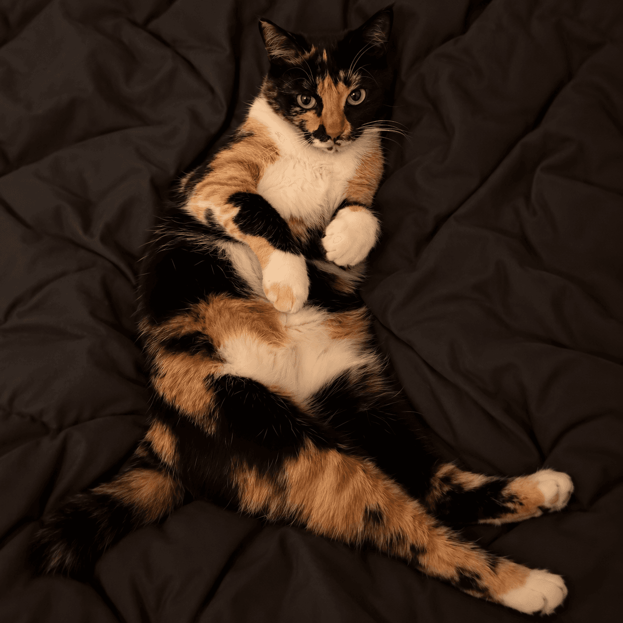 Katja